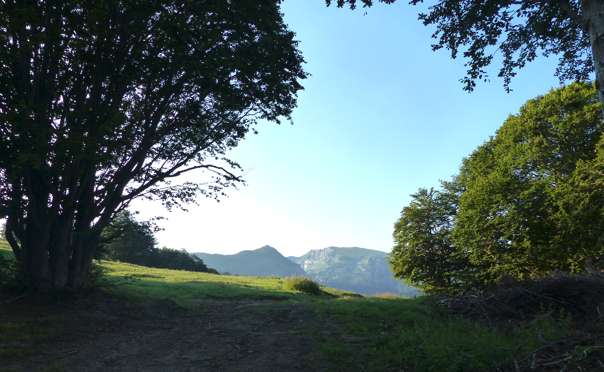 Tra la Val Corsaglia e la Val Casotto