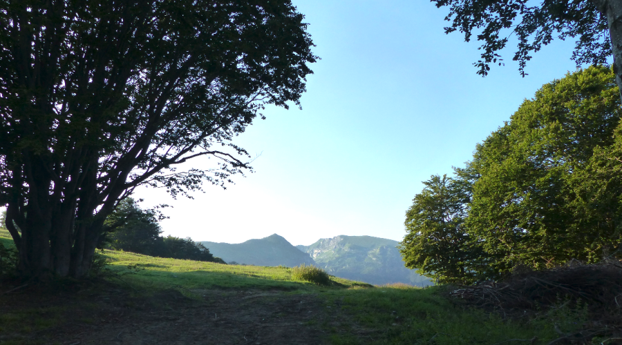 Tra la Val Corsaglia e la Val Casotto